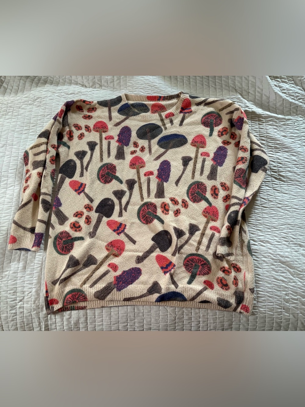 Cream Cotton & Wool Blend Mushroom Design Crew Neck Knit Sweater